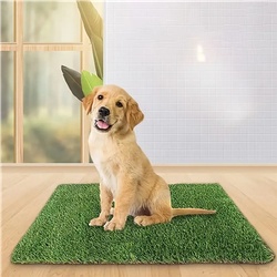 Image of a product